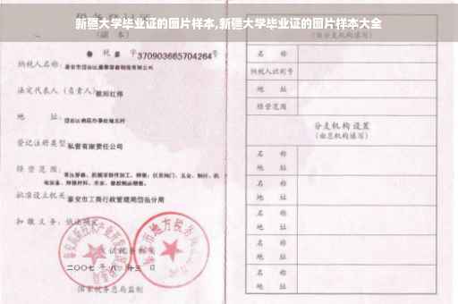 新疆大学毕业证的图片样本,新疆大学毕业证的图片样本大全