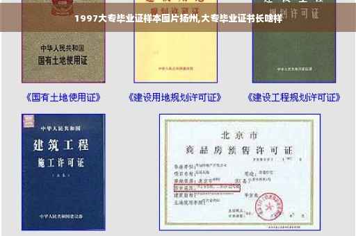 1997大专毕业证样本图片扬州,大专毕业证书长啥样