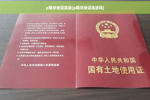 p图毕业证违法(p图毕业证违法吗)