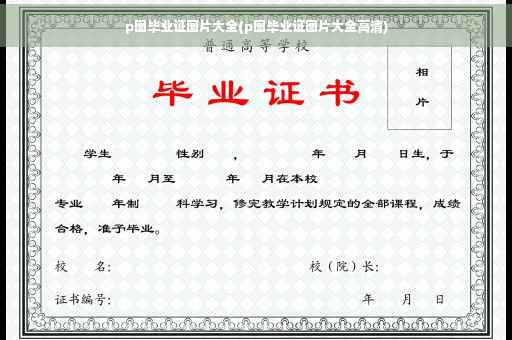p图毕业证图片大全(p图毕业证图片大全高清)