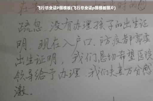 飞行毕业证P图模板(飞行毕业证p图模板图片)