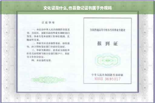 文化证是什么,作品登记证书属于外观吗