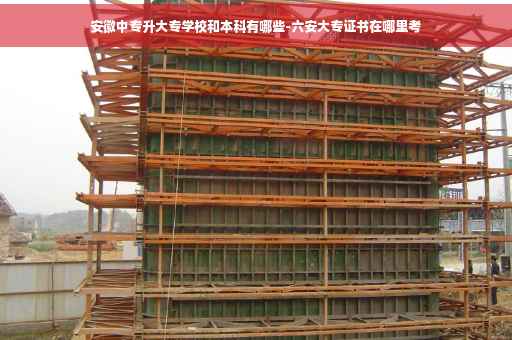 安徽中专升大专学校和本科有哪些-六安大专证书在哪里考