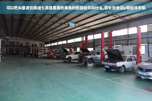 可以把头像遮住换成七龙珠里面的角色的修图软件叫什么,初中毕业证p图软件手机