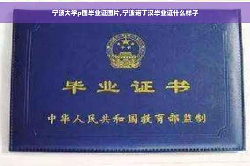 宁波大学p图毕业证图片,宁波诺丁汉毕业证什么样子