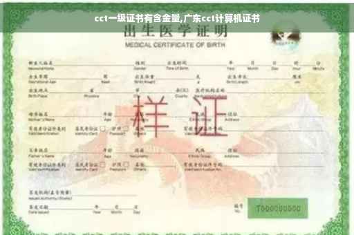cct一级证书有含金量,广东cct计算机证书