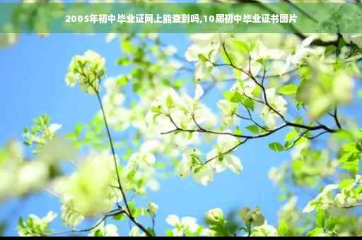 2005年初中毕业证网上能查到吗,10届初中毕业证书图片