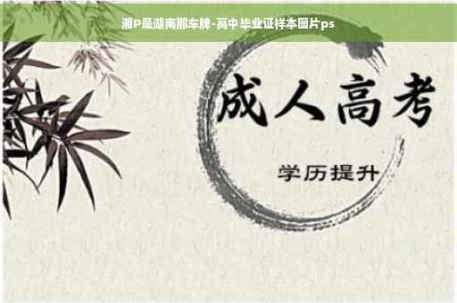 湘P是湖南那车牌-高中毕业证样本图片ps