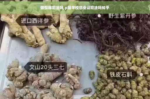 做假图犯法吗,p图学校毕业证犯法吗知乎