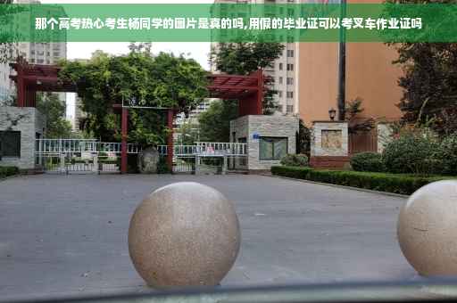 那个高考热心考生杨同学的图片是真的吗,用假的毕业证可以考叉车作业证吗