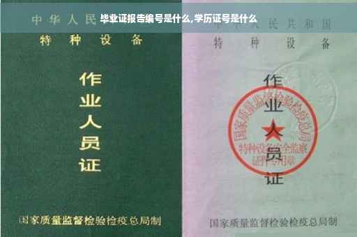 毕业证报告编号是什么,学历证号是什么