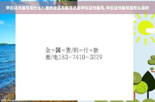 学历证书编号是什么？是毕业证书编号还是学位证书编号,学历证书编号是怎么来的