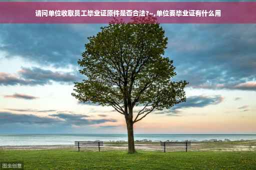 请问单位收取员工毕业证原件是否合法?~,单位要毕业证有什么用