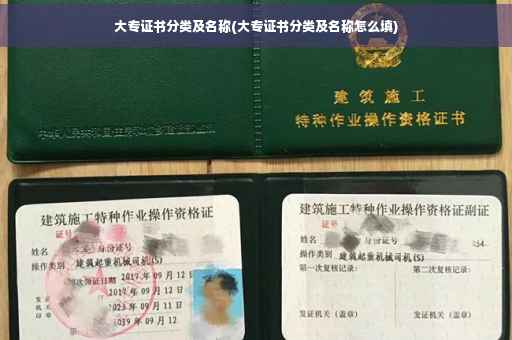 大专证书分类及名称(大专证书分类及名称怎么填)