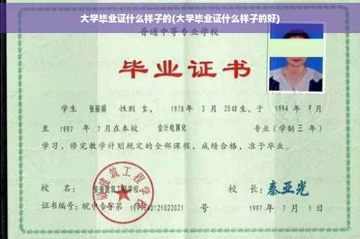 大学毕业证什么样子的(大学毕业证什么样子的好)