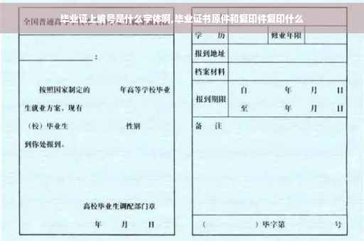 毕业证上编号是什么字体啊,毕业证书原件和复印件复印什么
