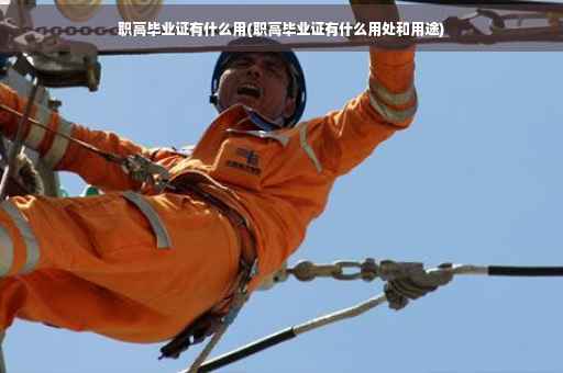 职高毕业证有什么用(职高毕业证有什么用处和用途)