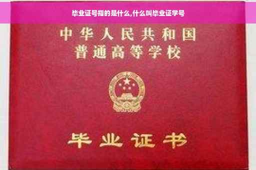 毕业证号指的是什么,什么叫毕业证学号