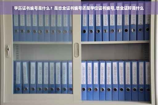 学历证书编号是什么？是毕业证书编号还是学位证书编号,毕业证好是什么