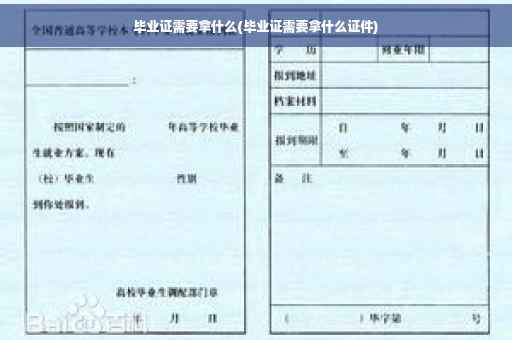 毕业证需要拿什么(毕业证需要拿什么证件)