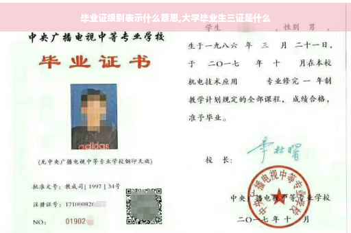毕业证级别表示什么意思,大学毕业生三证是什么