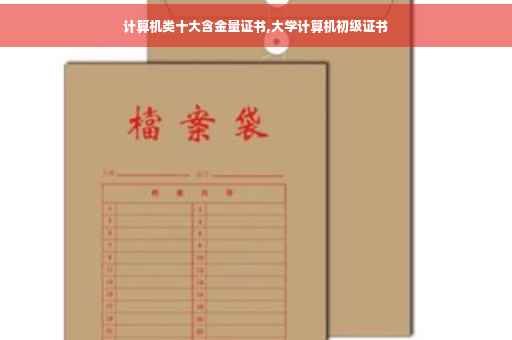 计算机类十大含金量证书,大学计算机初级证书