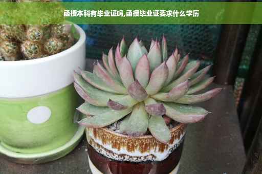 函授本科有毕业证吗,函授毕业证要求什么学历