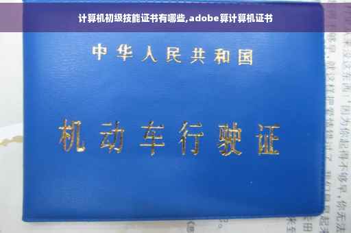 计算机初级技能证书有哪些,adobe算计算机证书