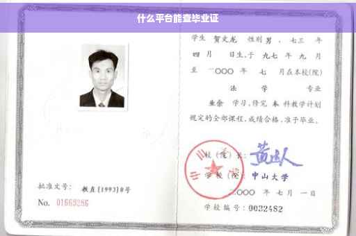 什么平台能查毕业证