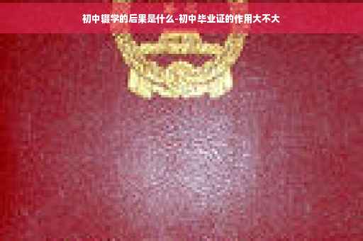 初中辍学的后果是什么-初中毕业证的作用大不大