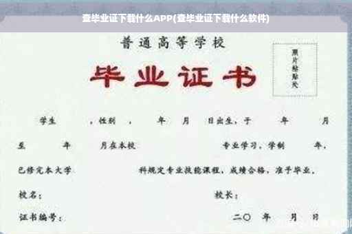 查毕业证下载什么APP(查毕业证下载什么软件)