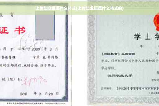上传毕业证是什么格式(上传毕业证是什么格式的)