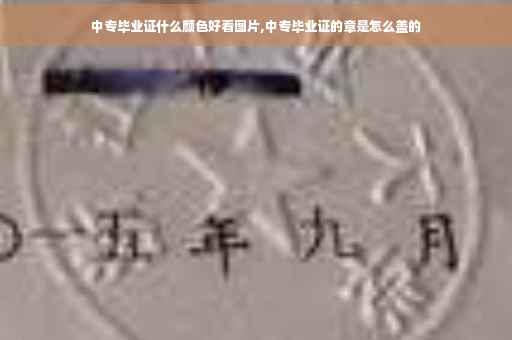 中专毕业证什么颜色好看图片,中专毕业证的章是怎么盖的