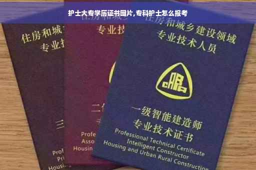 护士大专学历证书图片,专科护士怎么报考