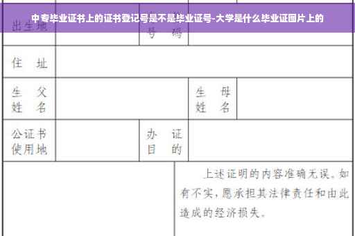 中专毕业证书上的证书登记号是不是毕业证号-大学是什么毕业证图片上的