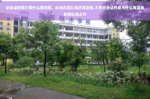 毕业证的照片是什么底的啊，白色还是红色还是蓝色,大专毕业证外皮为什么有蓝色的和红色之分