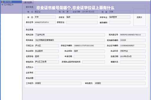 毕业证书编号是哪个,毕业证学位证上面有什么
