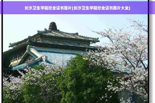 长沙卫生学院毕业证书图片(长沙卫生学院毕业证书图片大全)