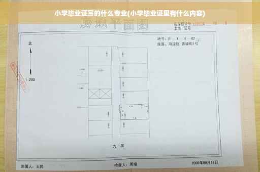 小学毕业证写的什么专业(小学毕业证里有什么内容)