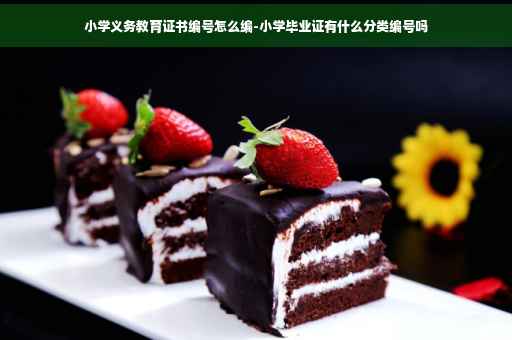小学义务教育证书编号怎么编-小学毕业证有什么分类编号吗
