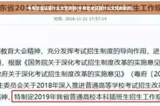 中专毕业证算什么文凭类别(中专毕业证算什么文凭类别的)