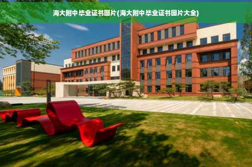 海大附中毕业证书图片(海大附中毕业证书图片大全)