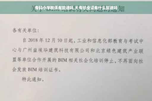 专科小学教师有前途吗,大专毕业证有什么前途吗