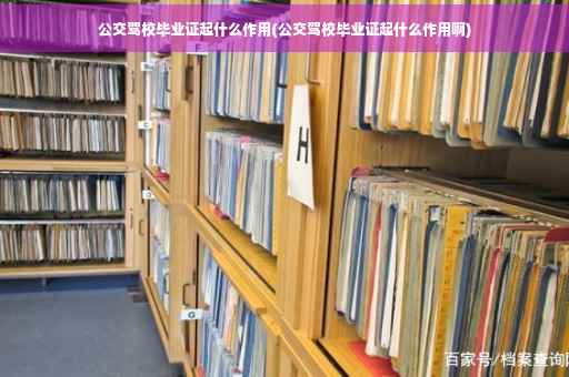公交驾校毕业证起什么作用(公交驾校毕业证起什么作用啊)