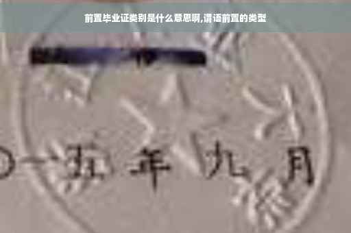 前置毕业证类别是什么意思啊,谓语前置的类型