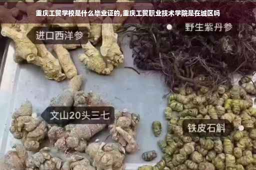 重庆工贸学校是什么毕业证的,重庆工贸职业技术学院是在城区吗