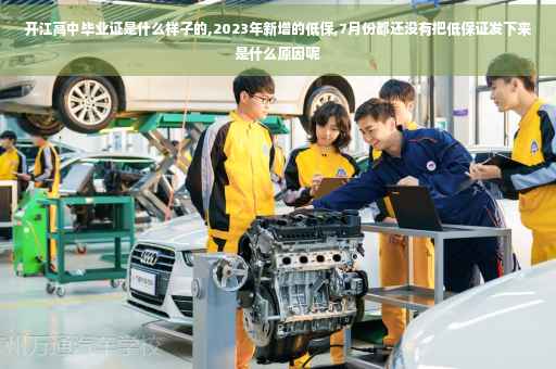 开江高中毕业证是什么样子的,2023年新增的低保,7月份都还没有把低保证发下来是什么原因呢