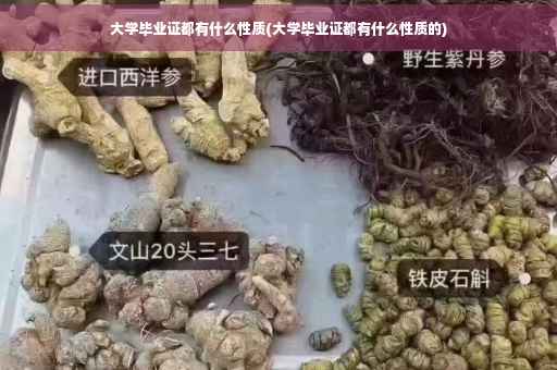 大学毕业证都有什么性质(大学毕业证都有什么性质的) 大学毕业证都有什么性质(大学毕业证都有什么性质的)