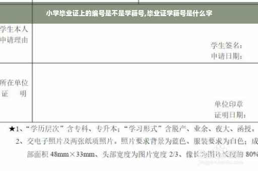 小学毕业证上的编号是不是学籍号,毕业证学籍号是什么字