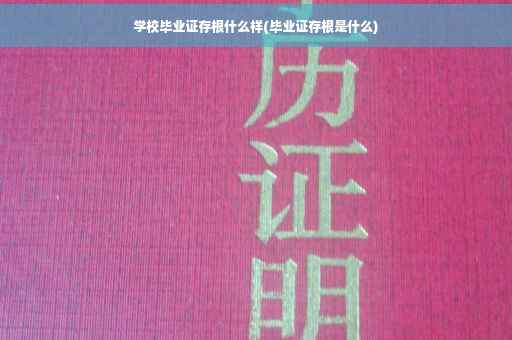 学校毕业证存根什么样(毕业证存根是什么)